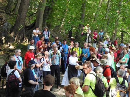 Pomlad v prleških goricah 2017 89